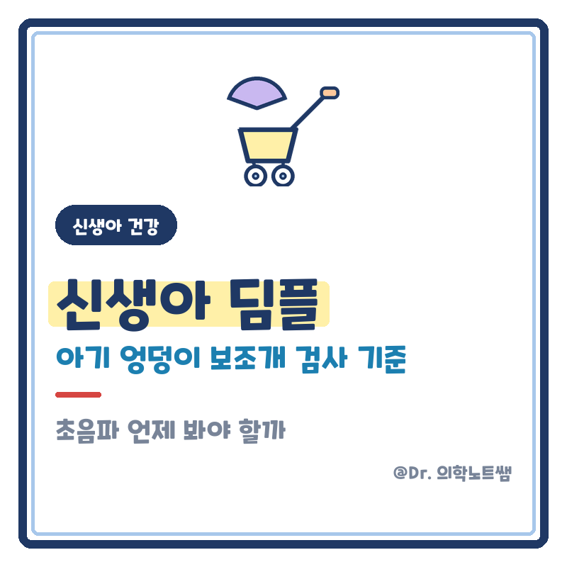 신생아 딤플 아기 엉덩이 보조개 초음파 검사 기준