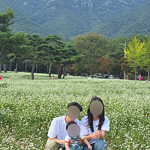 2026.09 양산 통도사 메밀밭 가족 나들이 장소