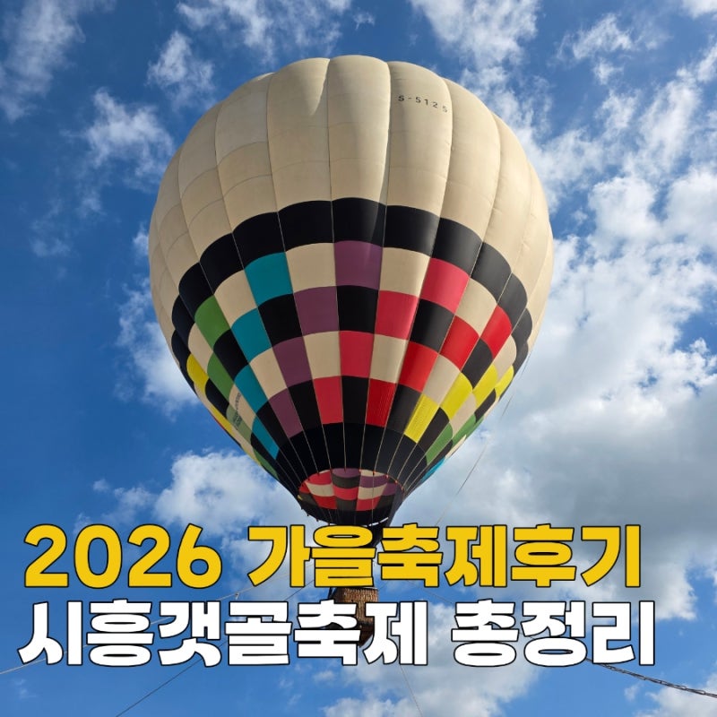 [시흥 가볼만한곳] 2026 시흥갯골축제 아이와 솔직 방문 후기! 열기구 예약방법과 주차·푸드....