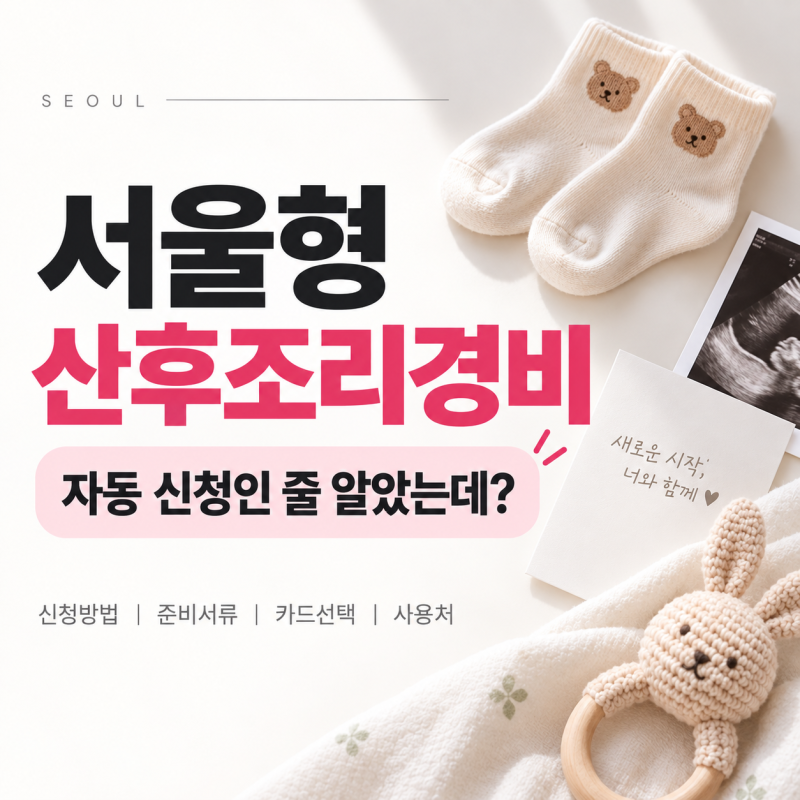 서울형 산후조리경비 신청방법, 탄생육아몽땅정보통 준비서류와 사용처