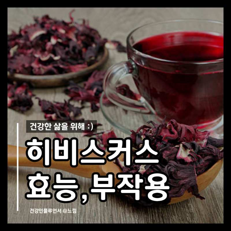 히비스커스 효능 먹는법 부작용 임산부 히비스커스