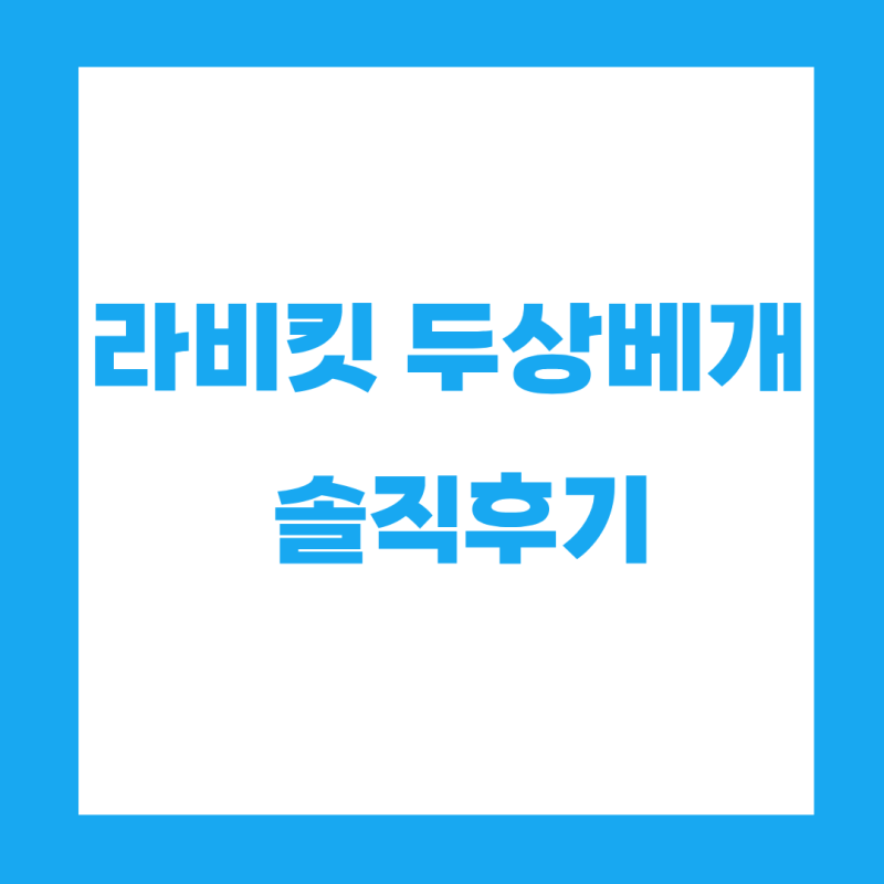 라비킷 두상베개 솔직후기