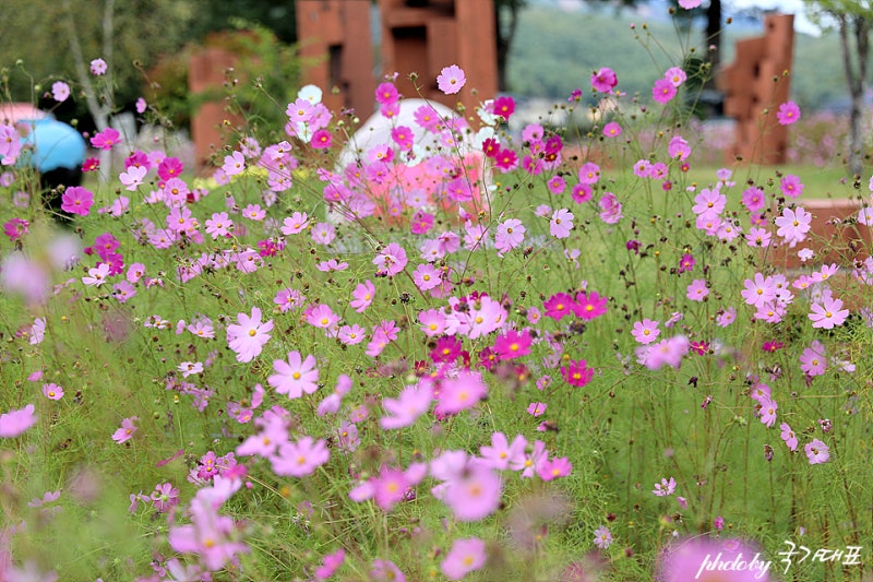 Gangwon-do Pyeongchang Attractions: Date at Pyeongchang Mui Arts Center
