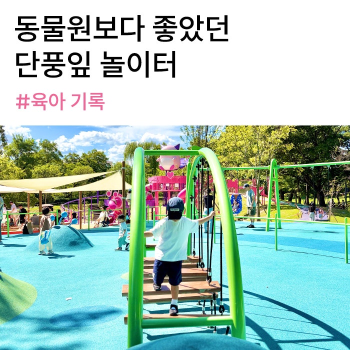 서울어린이대공원 아이와 하루 코스, 준비물 팁
