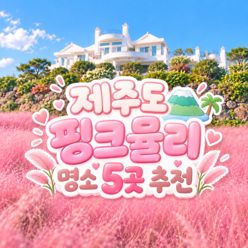 제주도 핑크뮬리 명소 5곳 추천 | 2026 개화시기, 입장료, 동선 비교
