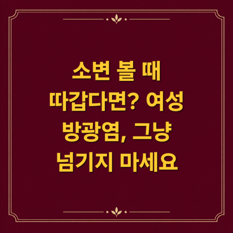 여성 방광염 왜 자꾸 걸릴까? 원인부터 치료·재발 예방법까지