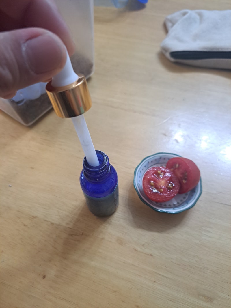 달팽이 액상 칼슘 먹이는 법, 초1 딸과 방울토마토 위에 두 방울
