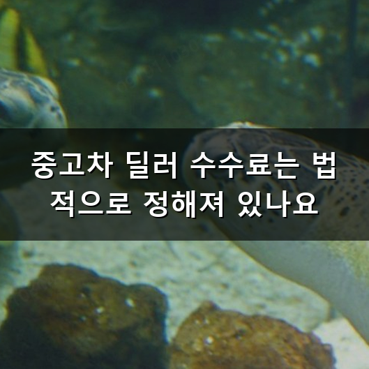 중고차 딜러 수수료 얼마가 적당할까 궁금하다면 알아두는 법