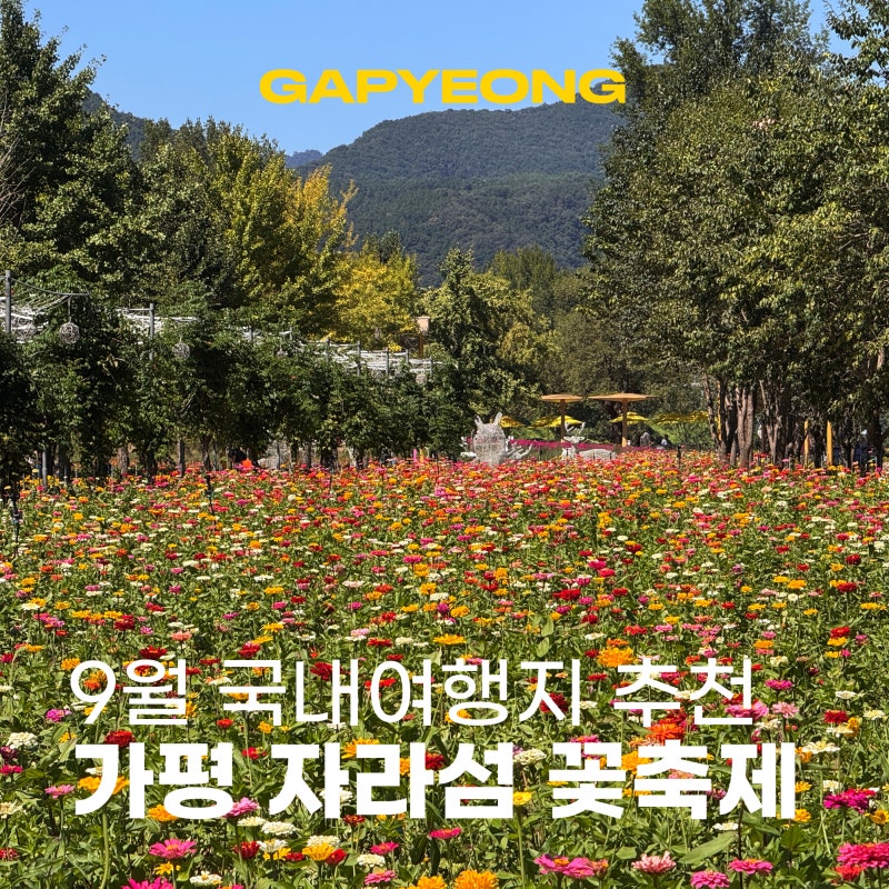 가평 자라섬 꽃축제 주차 입장료 개화상황 9월 국내여행지 가평 데이트 코스 추천