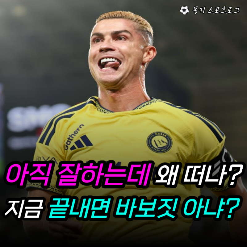 “메시는 은퇴했는데 41살 호날두는 그런 거 모른다고?” 포르투갈 대표팀 또 승선… 통산 100....