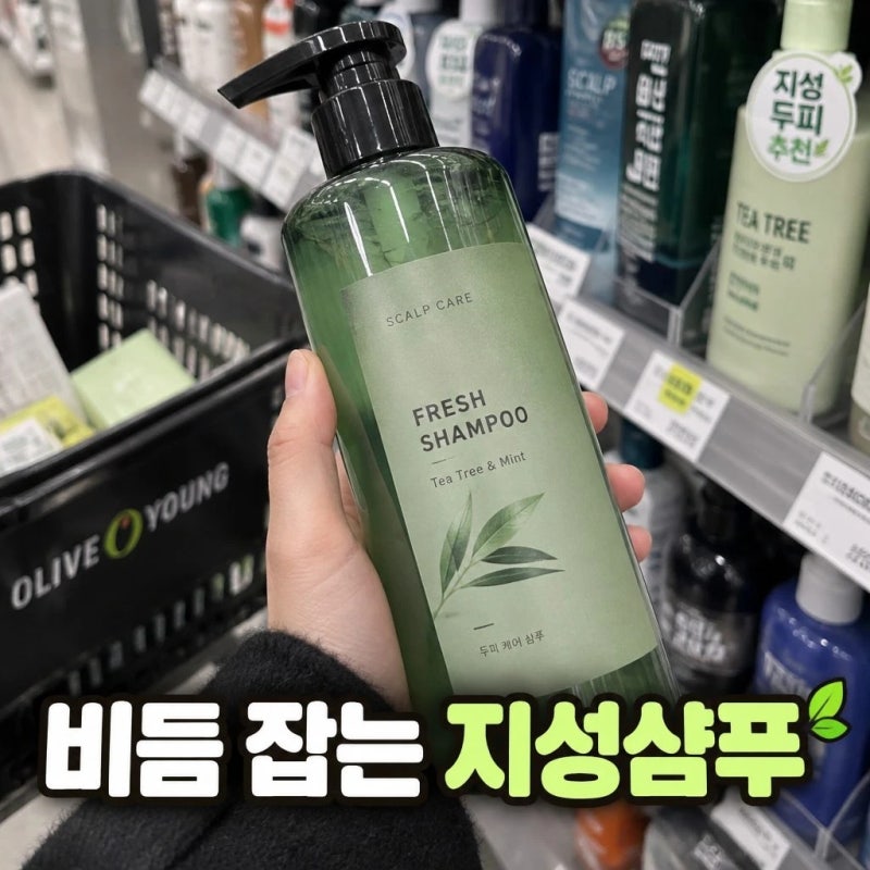 비듬 방지 올리브영 지성 약산성 샴푸 추천
