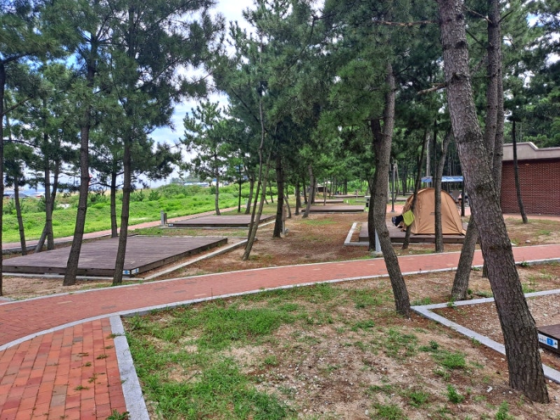 Goseong, Gangwon-do Jajakdo Beach Campground: How to Reserve, Prices, Facilities, and Best Spots