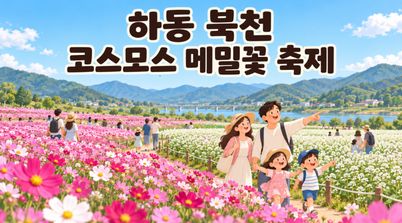 2026 하동 북천 코스모스 메밀꽃 축제 일정·입장료·주차·프로그램 총정리