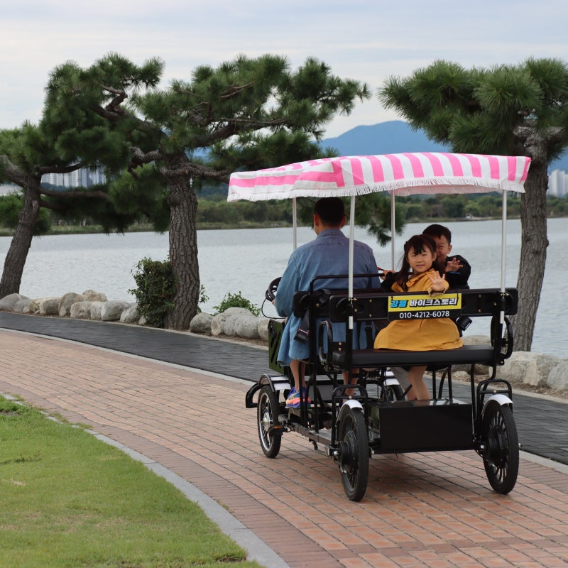 Things to Do in Gangneung: Bike Story, Cycling Around Gyeongpo Lake