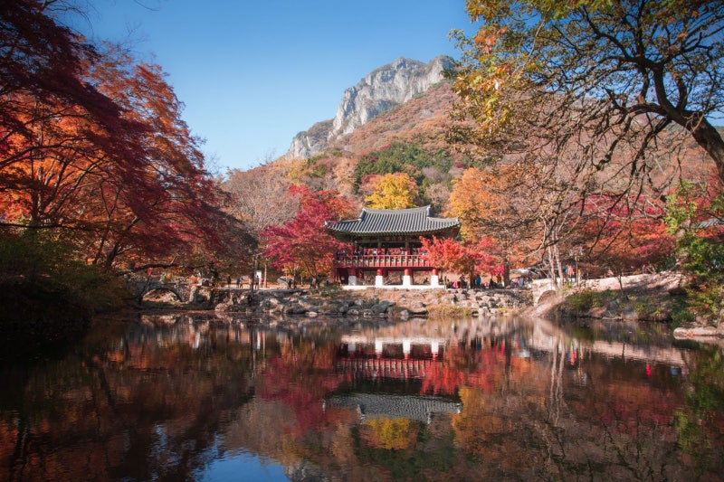 설악산 단풍 절정 시기, 오색·한계령 단풍시기차이 실시간 확인법
