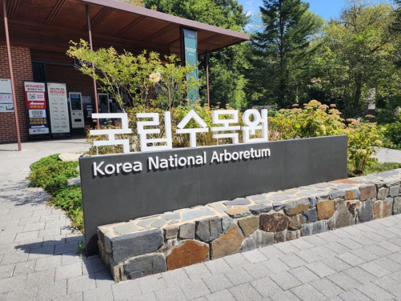 초록 초록한 힐링이 느껴지는 슬로우 산책 광릉 국립수목원