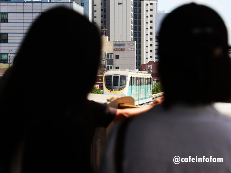 전통시장 여행 대구 가볼만한곳 당일치기 여행, 대구 핫플 서문시장 먹거리 투어