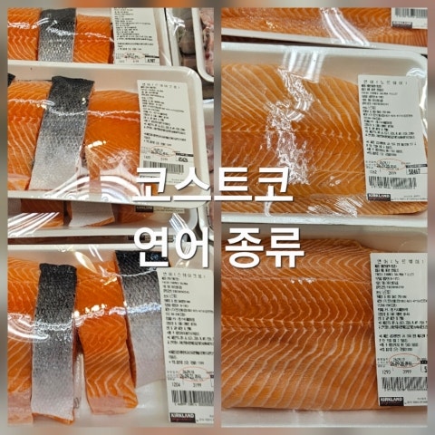 코스트코 연어 종류 가격 노르웨이 연어 스테이크용 횟감용