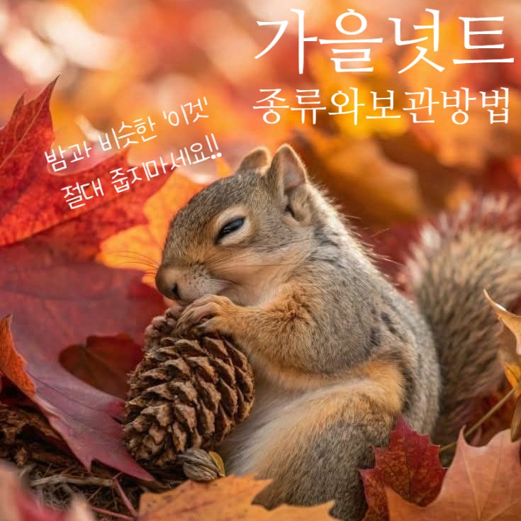도토리 상수리 개암 밤 가을넛트 종류와 보관법, 그리고 위험한 이것!