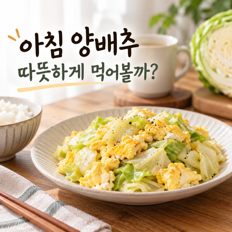 따뜻한 양배추 요리, 아침에 계란 하나 넣어 이렇게 드세요