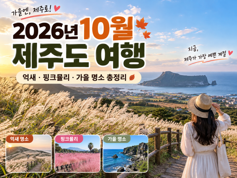 2026년 10월 제주도 여행 가볼만한 곳｜억새·핑크뮬리·가을 명소 총정리