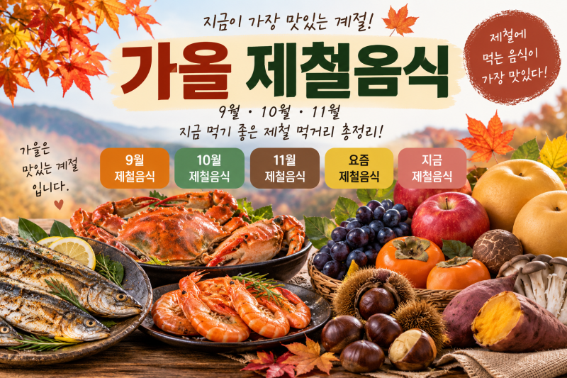 가을 제철음식 총정리｜9월·10월·11월 지금 먹기 좋은 음식