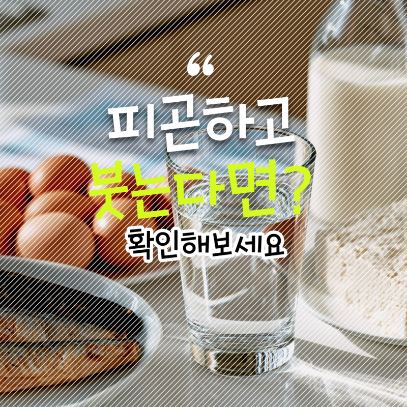 알부민 효능과 수치, 영양제 먹으면 정말 도움될까