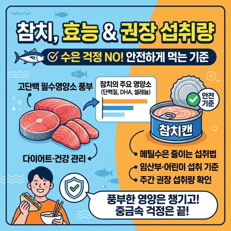 참치 효능과 권장 섭취량 참치캔 수은 걱정 없이 안전하게 먹는 기준