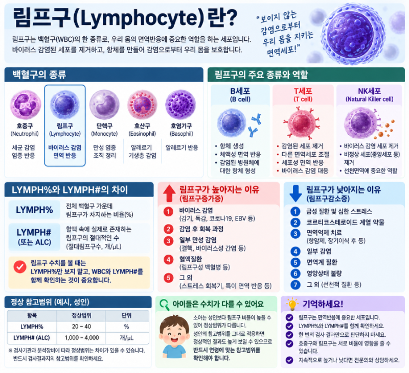 림프구(Lymphocyte) 높은 이유와 낮은 이유｜LYMPH%와 LYMPH# 차이