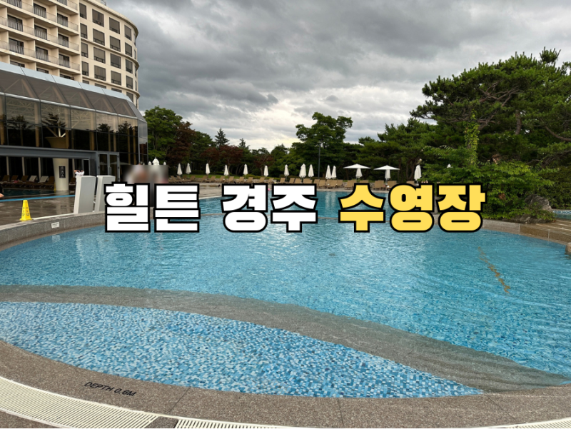 [경주 여행] 힐튼 경주 수영장 이용요금 총정리 투숙객할인 운영시간 오전권 오후권 이용팁