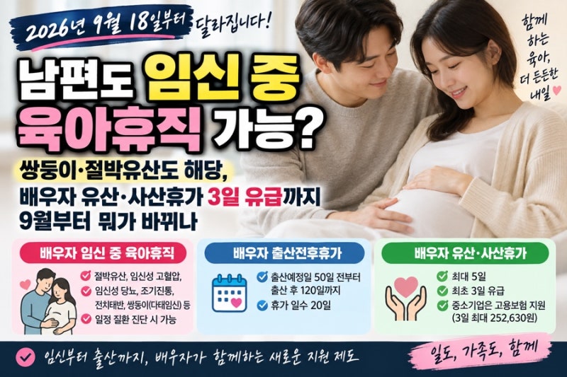 남편도 임신 중 육아휴직 가능? 쌍둥이 절박유산도 해당, 배우자 유산 사산휴가 3일 유급까지....