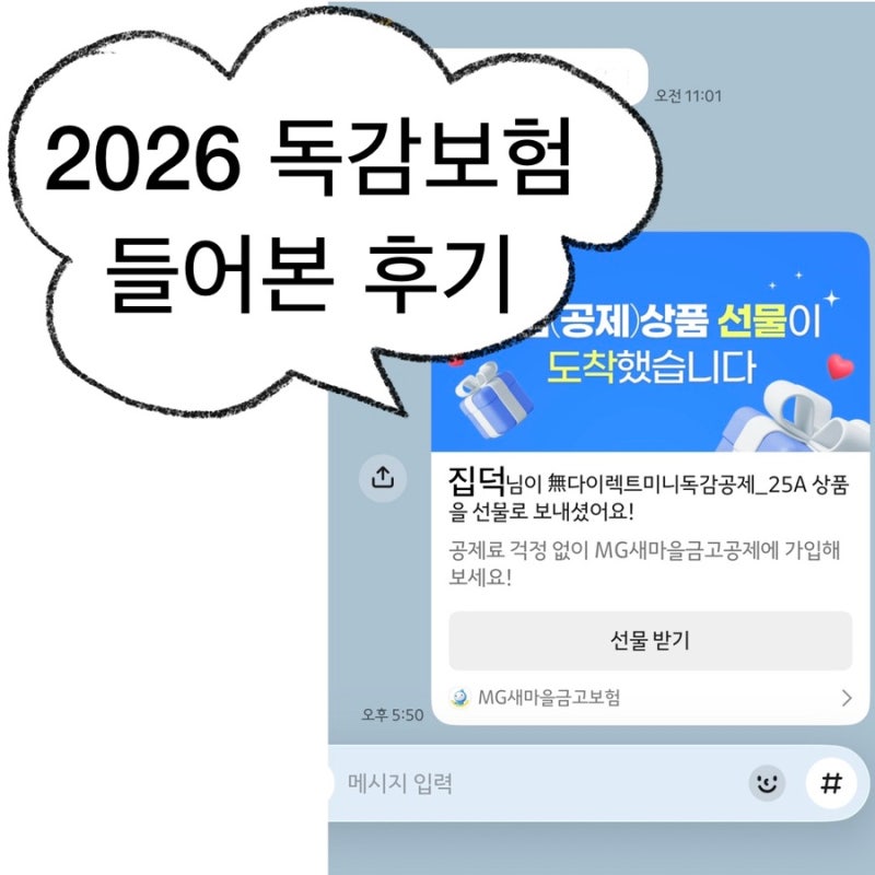2026 독감보험 알아본 후기｜독감 대유행을 맞아 어린이·성인 독감보험 직접 가입해봄