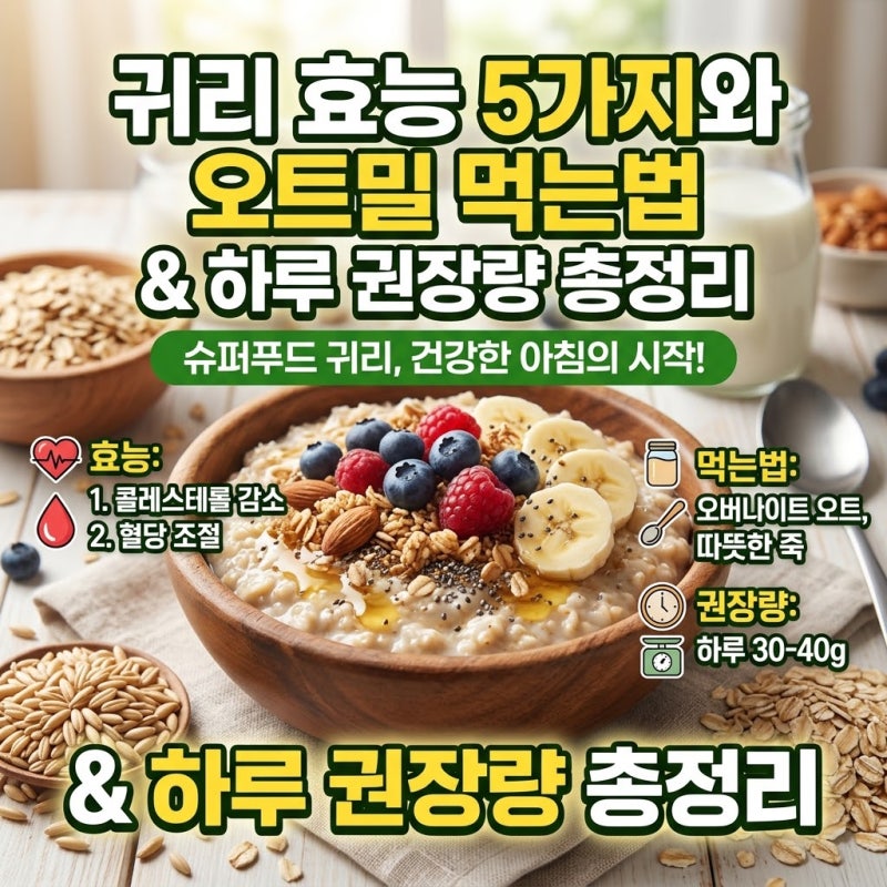 귀리 효능 5가지와 오트밀 먹는법 및 하루 권장량 총정리