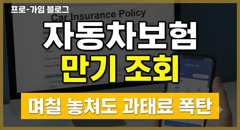 자동차보험 만기 조회 한급금 과태료 (+확인방법)