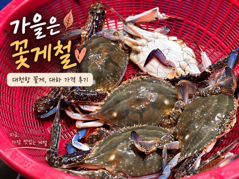 가을은 꽃게철❤️｜대천항 꽃게, 대하 가격 후기