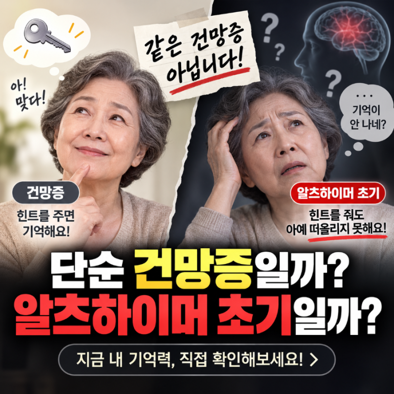 알츠하이머초기증상 기억력 (+건망증 차이, 자가진단) - 힌트를 줘도 아예 떠올리지 못하는 ....