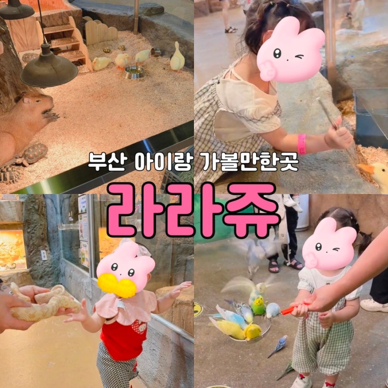 김해 부산 아이랑 가기 좋은 곳ㅣ35개월 아이와 실내 동물원 명지 라라쥬 먹이 체험 방문 후....