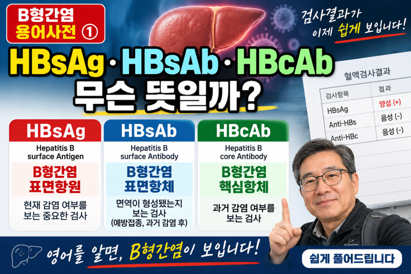 B형간염 용어사전 ① HBsAg·HBsAb·HBcAb 뜻은? 항원·항체 검사 쉽게 이해하기