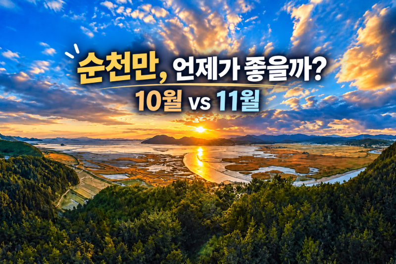 2026 순천만 갈대 시기｜10월과 11월 차이, 11월엔 스카이큐브 막차 17시 30분