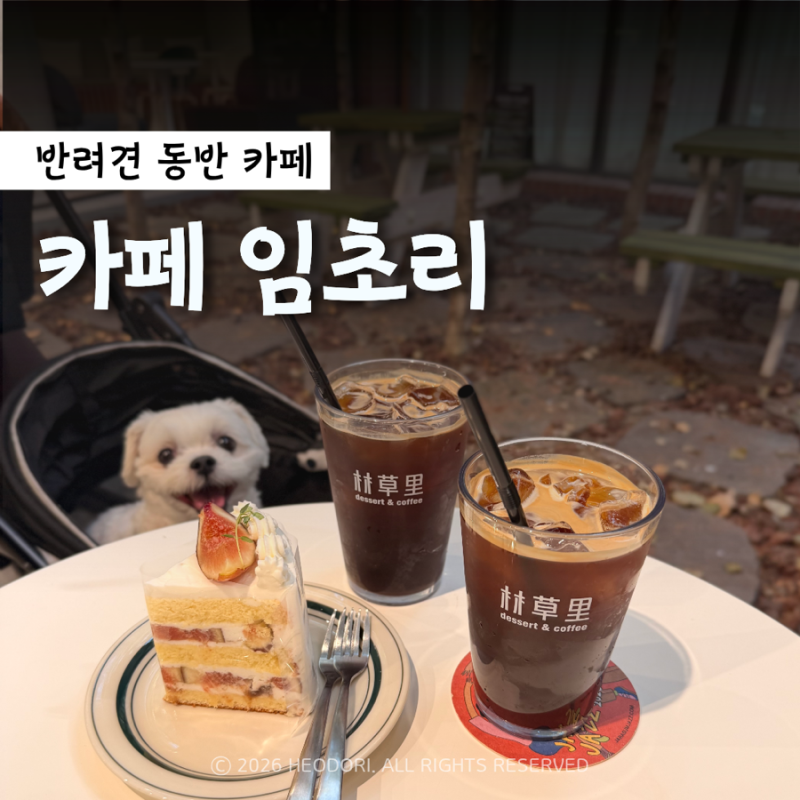 카페 임초리 : 아침고요수목원 주변 디저트 맛도리 가평 애견동반 카페 추천