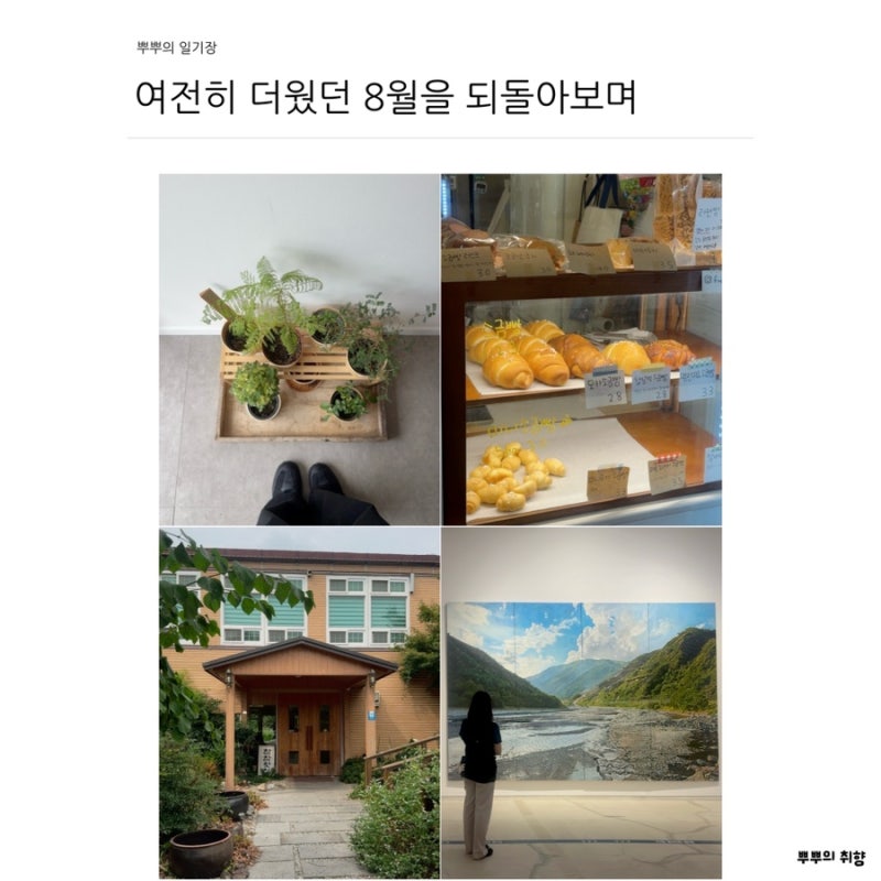 일상블로그/사진기록/26년 8월편