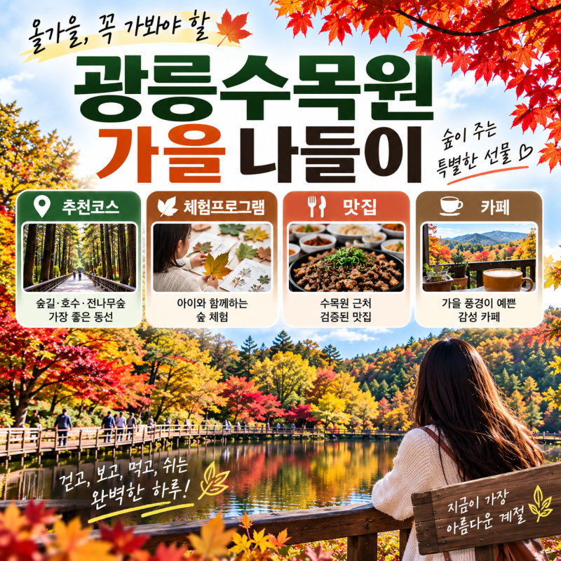 광릉수목원 가을 단풍 코스 추천｜국립수목원 예약부터 프로그램·맛집·카페까지