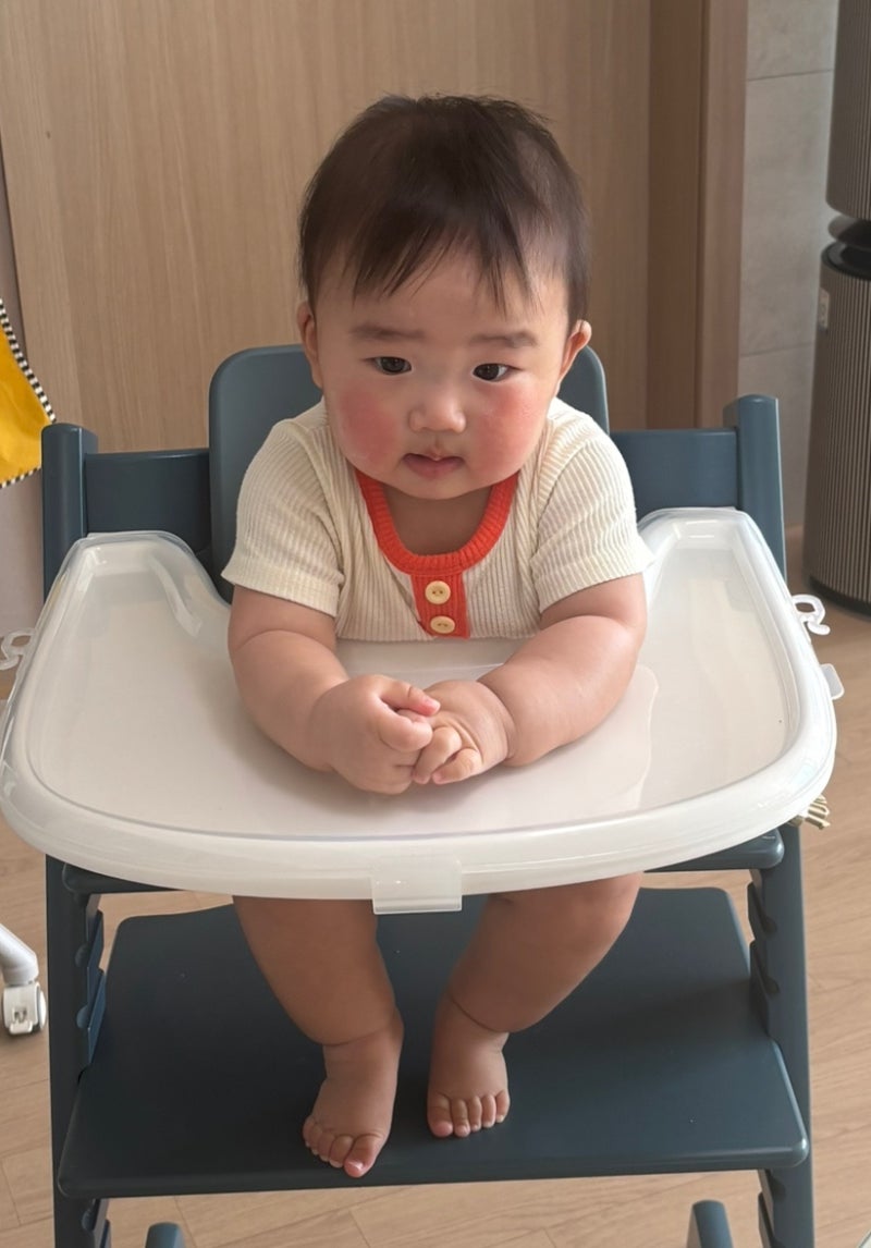 [중기 이유식 기록] 이유식 잘 먹던 아기 갑작스러운 알러지 반응, 식단표 올스톱하고 바꾼 ....