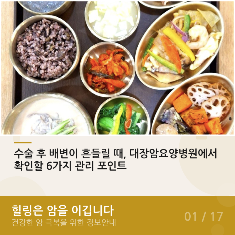 수술 후 배변이 흔들릴 때, 대장암요양병원에서 확인할 6가지 관리 포인트