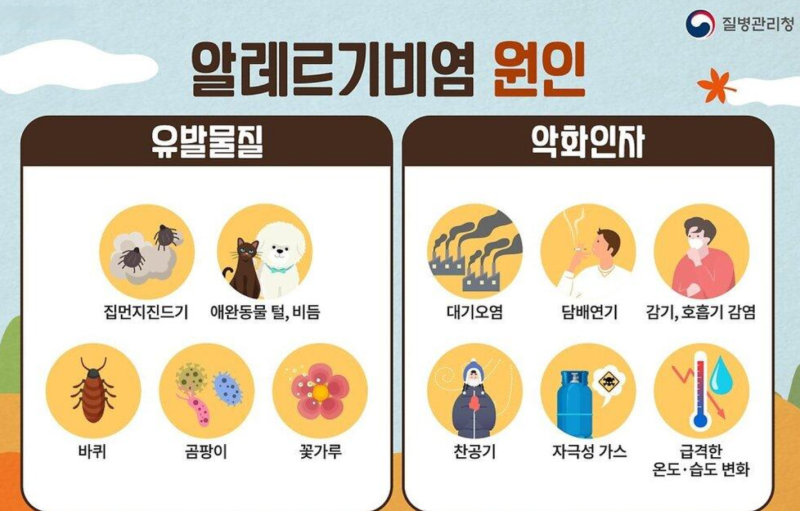 지긋지긋한 알레르기 비염은 왜 계속 재발할까? 원인부터 실제로 좋아지는 방법?