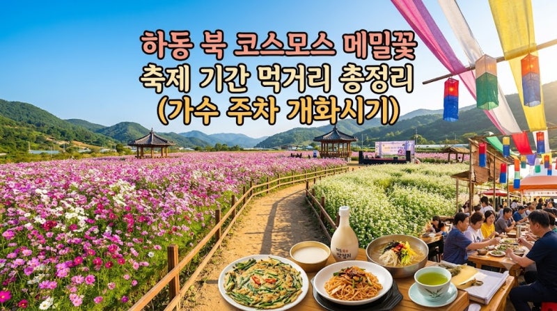 하동 북천 코스모스 메밀꽃 축제 기간 먹거리 총정리 (가수 주차 개화시기)
