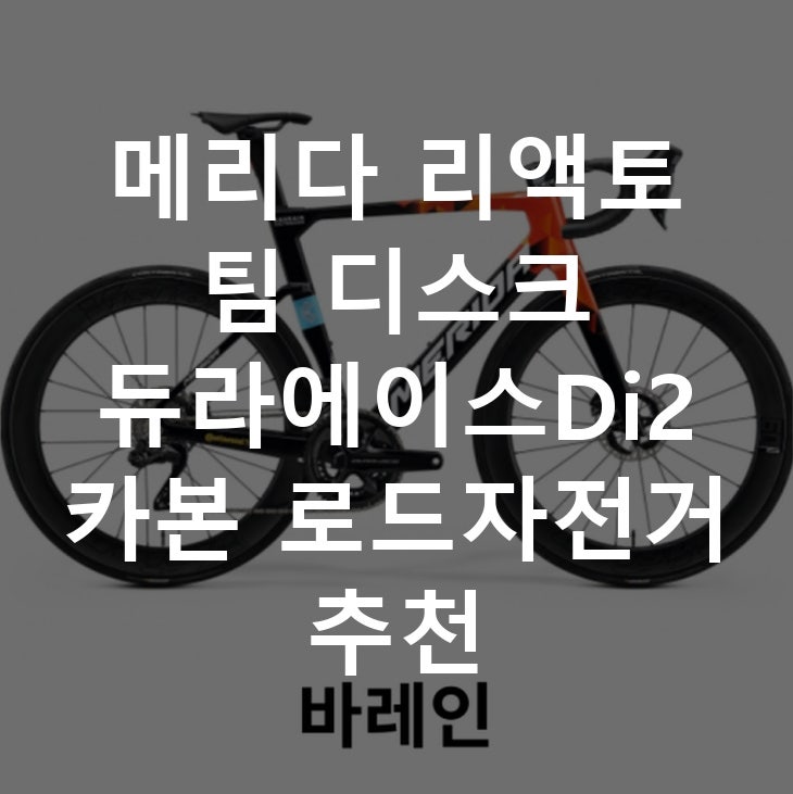 메리다 리액토 팀 디스크 듀라에이스Di2 카본 로드자전거 추천
