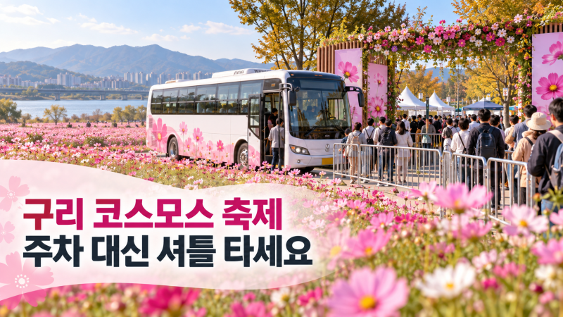 구리 코스모스 축제 안전 관리 수칙과 주차 셔틀 이용법
