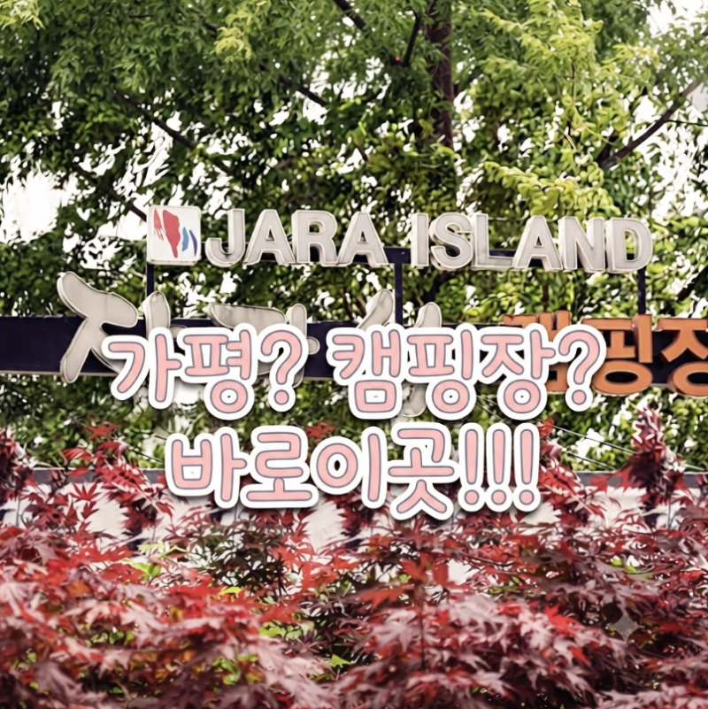 가평 자라섬 오토캠핑장 | 가족과 함께하기좋은 캠핑장 추천!