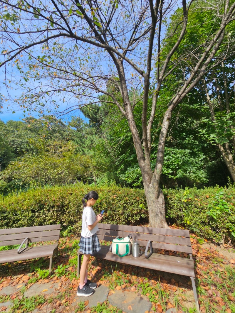 야외활동 레저 캠핑요리 삼진어묵과 함께